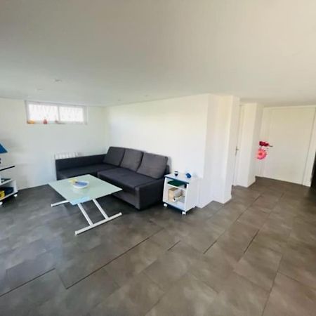 Entre Vienne Et Lyon Appartement En Rez-De-Jardin Saint-Symphorien-dʼOzon Екстериор снимка